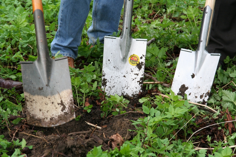 pepiniere-TRANS EN PROVENCE-min_work-lawn-flower-tool-green-backyard-1103633-pxhere.com